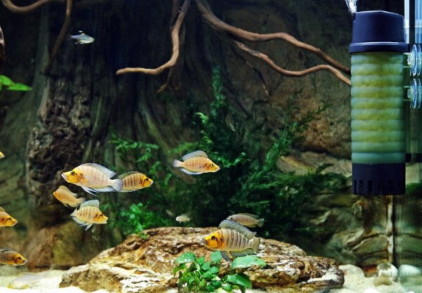 aquariumfilter ZB-300 7,5 x 25 cm groen/zwart 10-delig