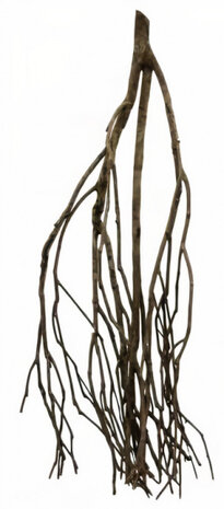 talawahout 30 cm bruin