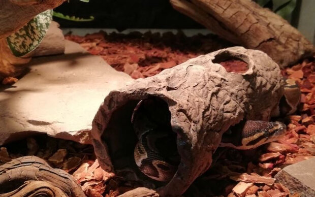terrarium Log 28 cm keramiek bruin