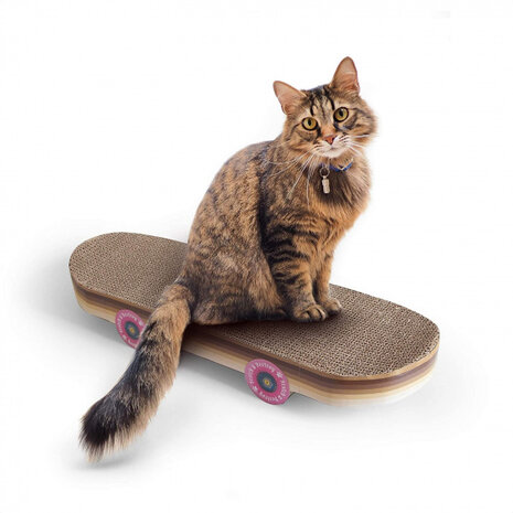 krabbord Skateboard katten 19 x 58,5 cm karton bruin