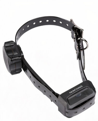 trainingsband Canicom Voice 9,8 cm zwart