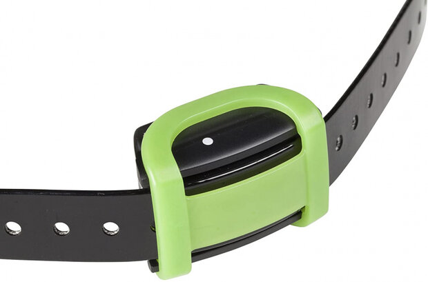 blafband Canicom zwart/groen