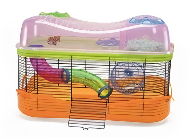 hamsterkooi Fantasy 58 x 38,5 cm oranje/roze/groen