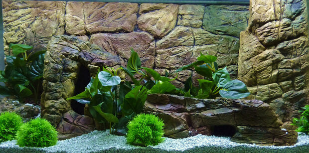 achterwand terrarium Thin 120 x 60 cm hars bruin