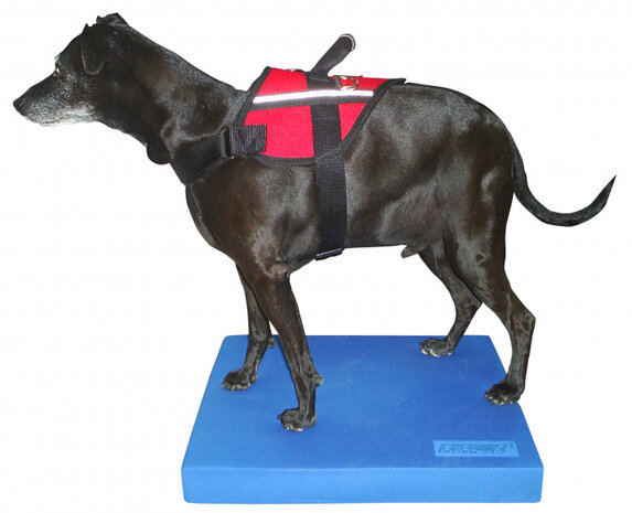balansplaat 46 x 38 cm schuim blauw