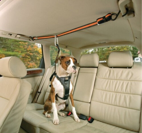 autogordel honden Zip Line nylon zwart/oranje 2-delig