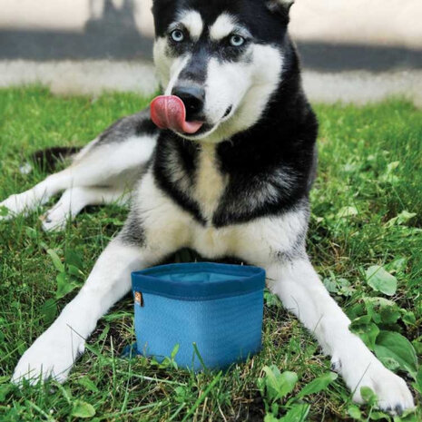 voerbak draagbaar hond Zippy Bowl 1,3 liter nylon blauw