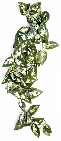terrariumdecoratie Borneo-varen 40 cm groen