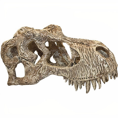 terrariumdecoratie T-Rex 18 x 12 cm hars naturel