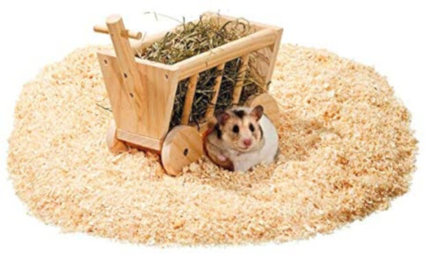 bolderwagen Wonderland knaagdier 29 x 19 cm hout naturel