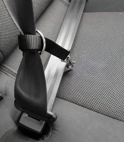 hondentuigje auto 25-38 x 2 cm nylon zwart