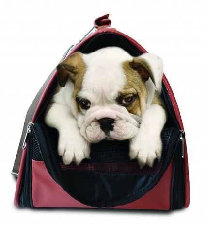 vervoerstas hond 49 x 28 x 29 cm polyester bruin/grijs