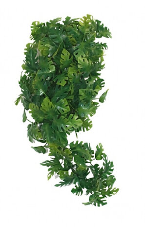 decoratieplant philodendron 30 cm groen