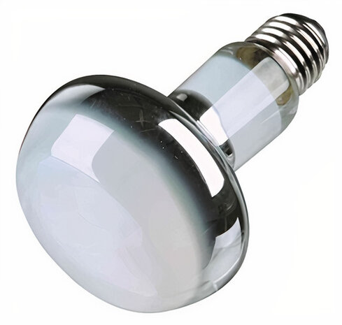 warmtelamp Reptiland led 100 watt E27 glas zilver