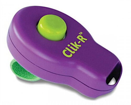 clicker dierentraining paars/groen