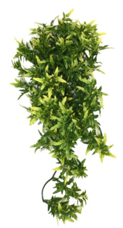 imitatieplant Croton 40 cm groen