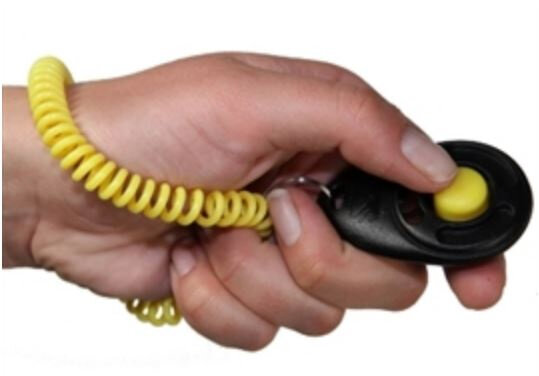 clickertraining hond 6 x 4 cm zwart/geel 2-delig
