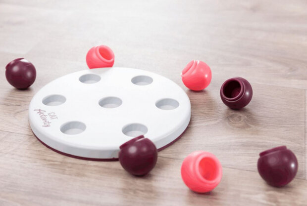 intelligentiespeelgoed Cat Activity wit/roze 8-delig