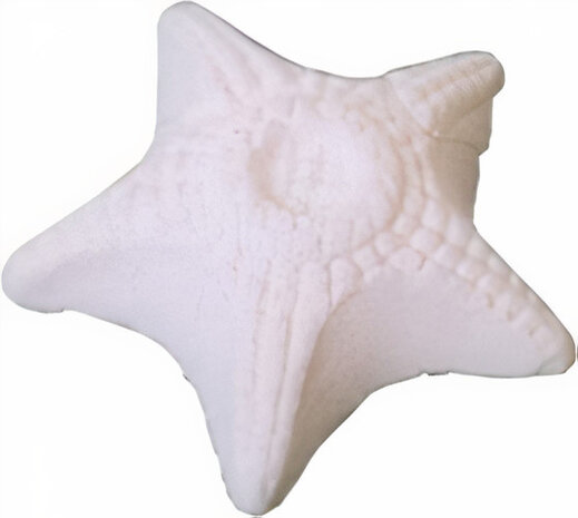 zuurstofsteen Nutra Vitalizer aquarium 6 x 2 cm wit