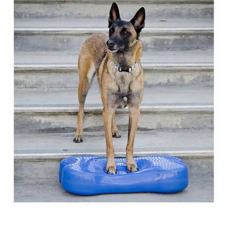 balansspeelgoed K9FITbone 58 x 29 cm PVC blauw