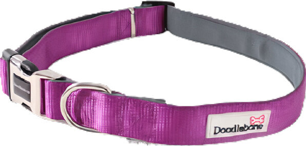 hondenhalsband Bold Comfort 20 - 30 cm violet