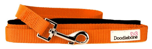 hondenlijn Bold 130 cm x 2 cm nylon oranje