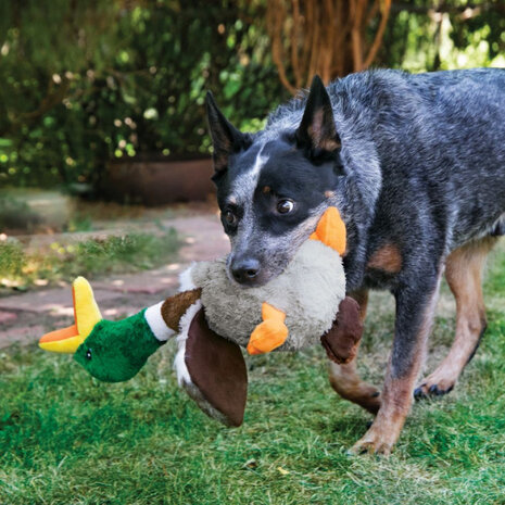 hondenspeelgoed Honkers Duck 45,5 cm pluche groen/grijs