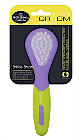 knaagdierborstel 13 x 4 x 3 cm paars/groen