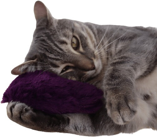 kattenkussen hart 13 x 3 cm kattenkruid pluche