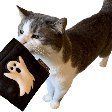 kattenkussen Halloween 11 cm valeriaan/canvas