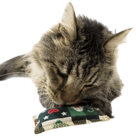 kattenkussen kerst 10 cm kattenkruid/katoen