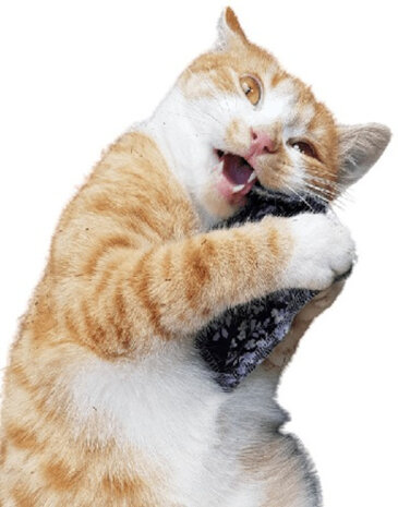kattenkussen 10 cm kattenkruid katoen