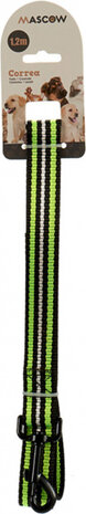 hondenriem 120 x 2,5 cm nylon zwart/groen