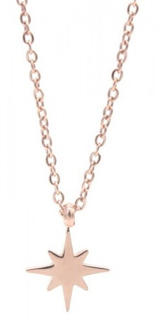 ketting Nothern Star dames RVS ros&eacute;goud