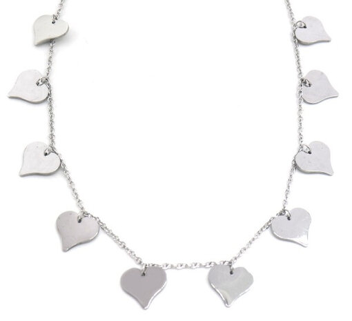 ketting Hearts dames RVS zilver verstelbaar