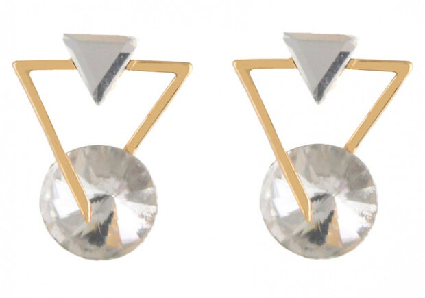 oorbellen Geometric 20 x 15 mm RVS goud/wit