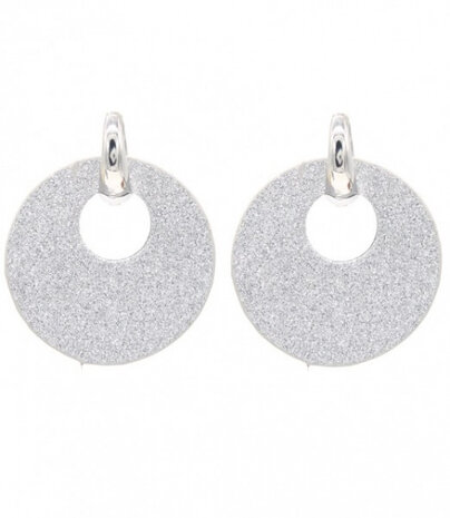 oorbellen Trendy Rond RVS zilver one-size