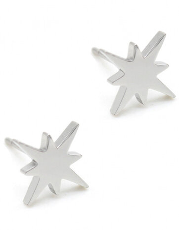 oorbellen Northern Star 10 mm RVS zilver