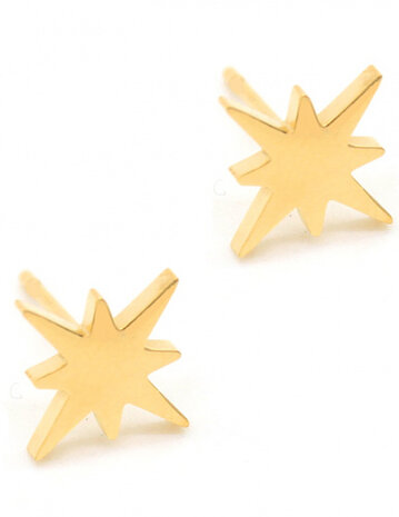 oorbellen Northern Star 10 mm RVS goud