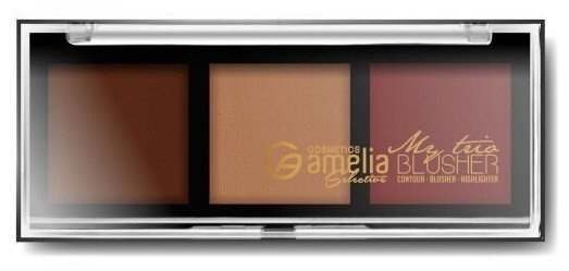 palet blush bronzer en highlighter 10 g bruin