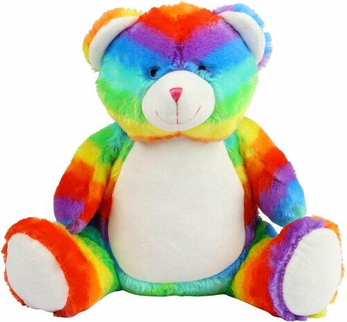 Regenboog teddybeer