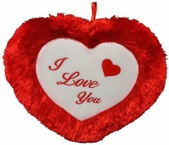 Pluche rood hart kussen I Love You 45 cm