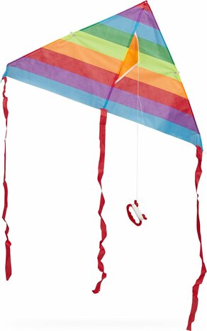 relaxdays Vlieger - 1 lijns vlieger - eenlijner - kite - stuntvlieger - delta vlieger A