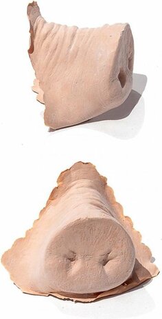 PXP Professional Colours Latex varkensneus